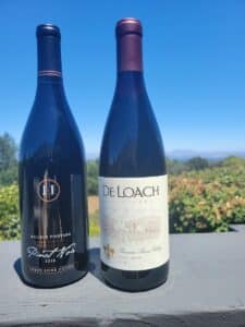 Red Wine, Pinot Noir, wine writing, wine review, Russian River Valley