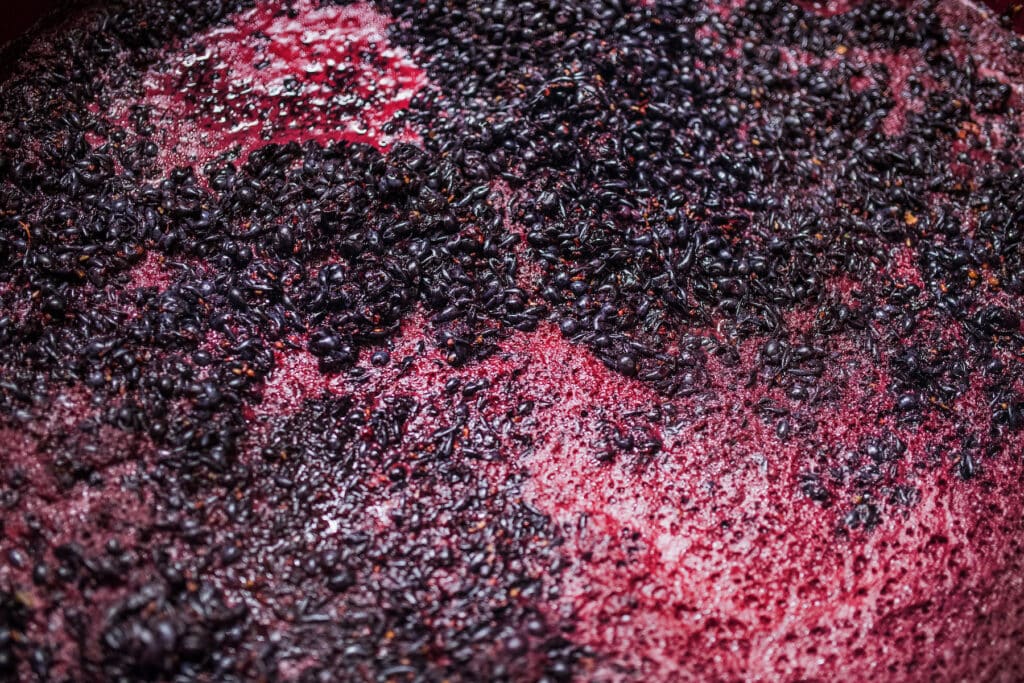 carbonic maceration is thought to be a sustainable process used exclusively by organic winemakers. However, winemakers might start their fermentation process off this way, and inoculate with yeast or sulfur later in the winemaking process.