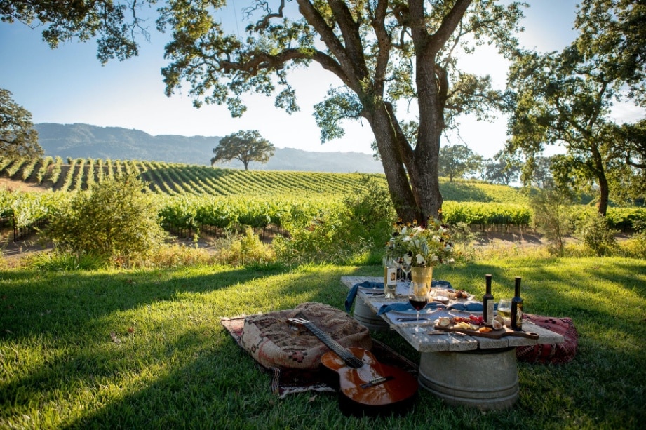 small wineries, wine tasting, wine experience, red wine, white wine