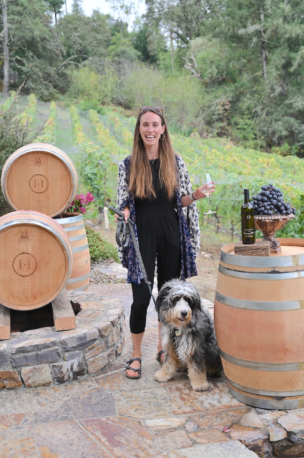 Dog-friendly wine tastings in Sonoma Valley