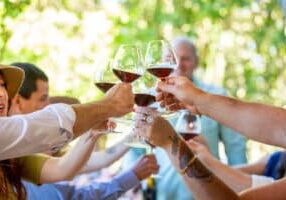 Sonoma wine tasting celebration