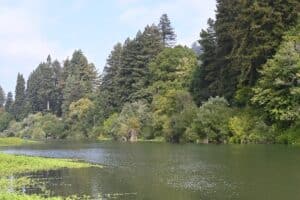 The Russian River Valley flows on the northern side of out Sonoma winery.