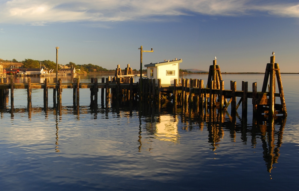 Docks at Bodega Bay