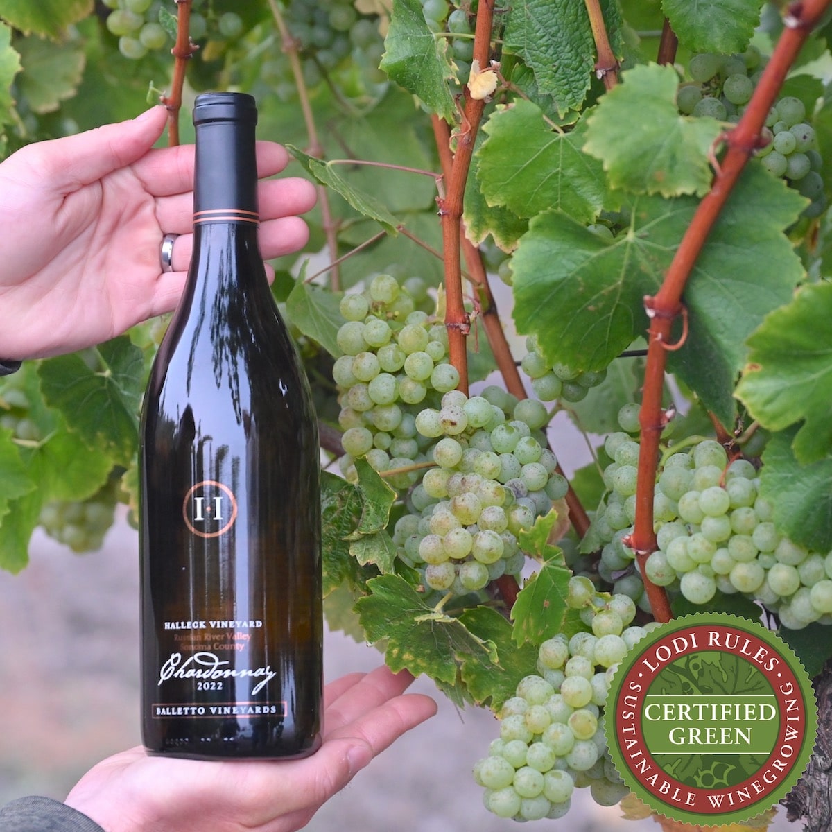 Vineyard-Balletto-Chardonnay-Bottle