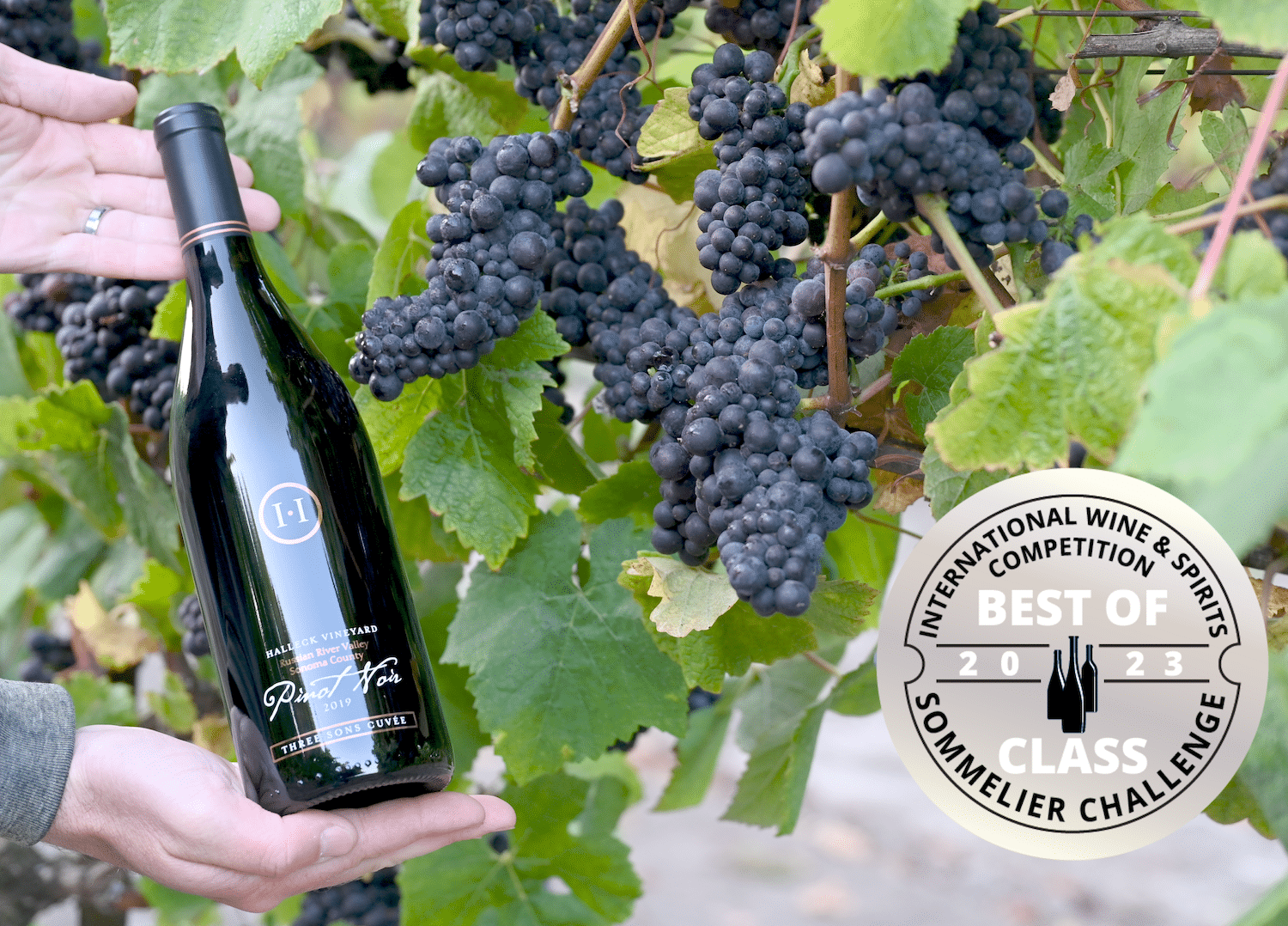 Halleck Vineyard Three Sons Russian River Pinot Noir wins Best of Class at 2023 Sommelier Challenge.