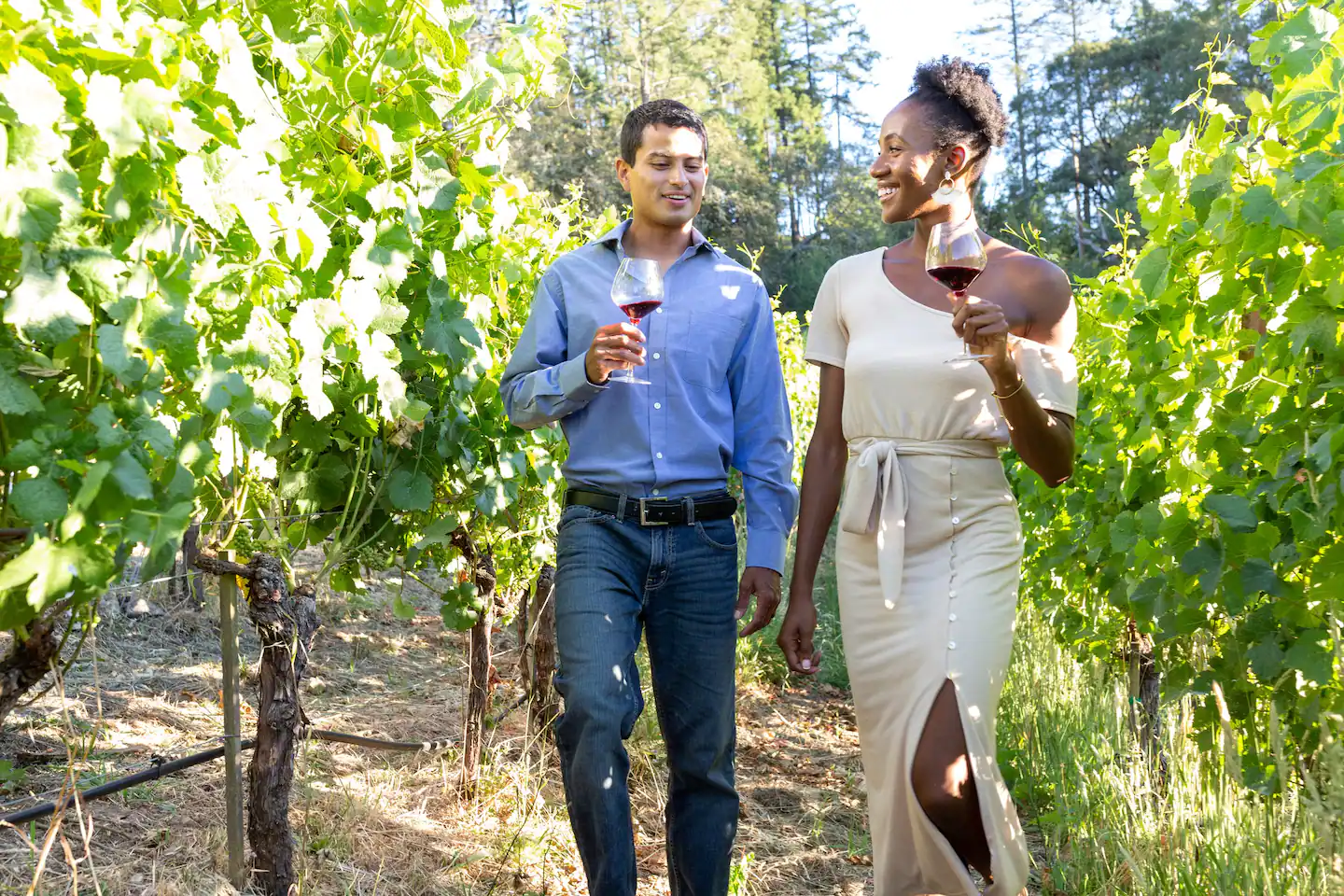 Vineyard Tours at Halleck Vineyard Romantic wine tastings at Halleck Vineyard in Sonoma Valley.